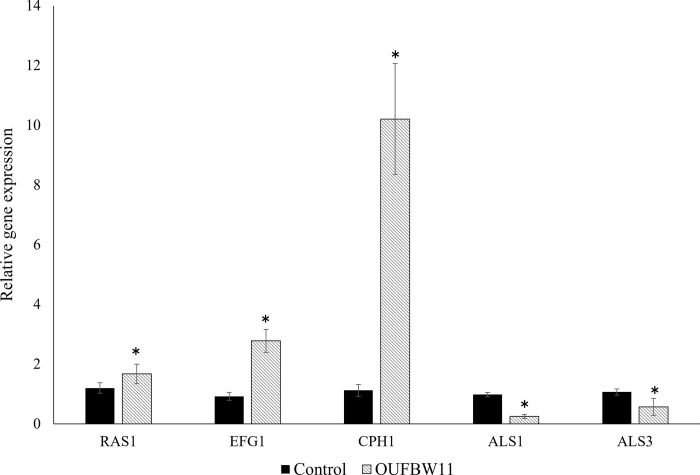 Fig 6