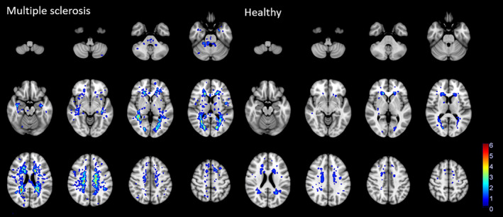 FIGURE 2