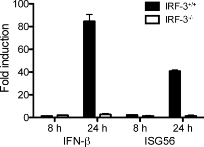 FIG. 5.