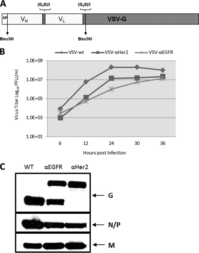 Fig 10