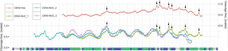 Figure 6.