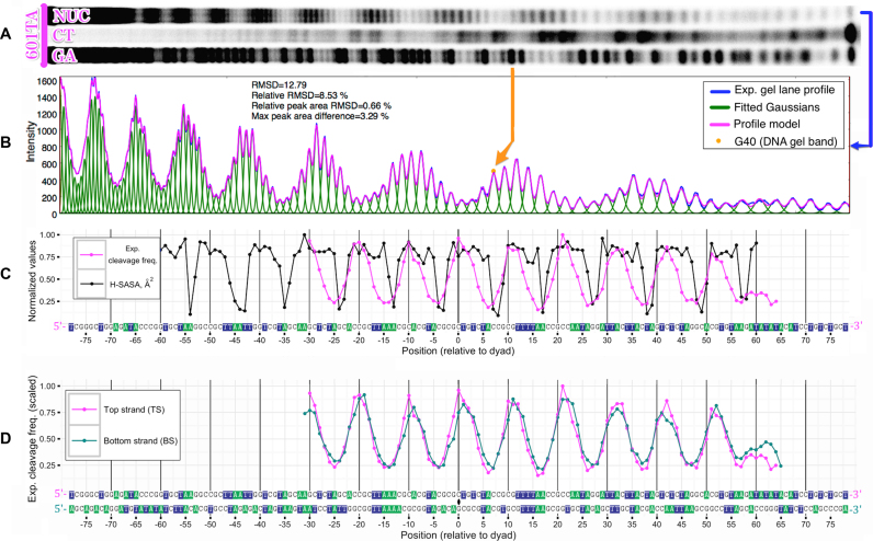 Figure 5.