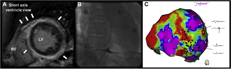 Figure 3