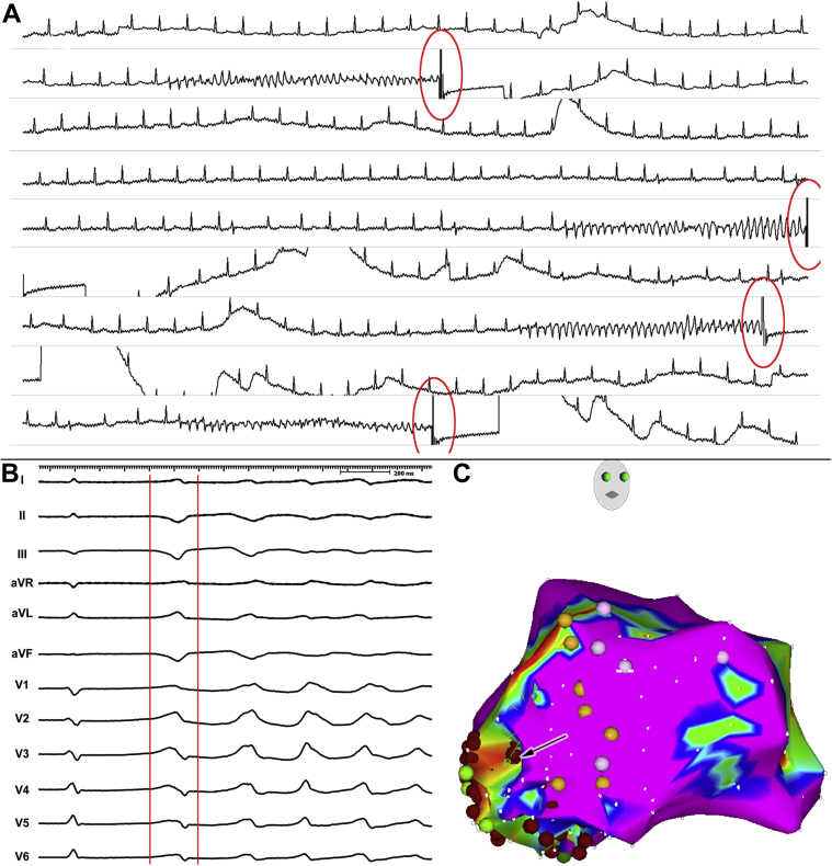 Figure 2