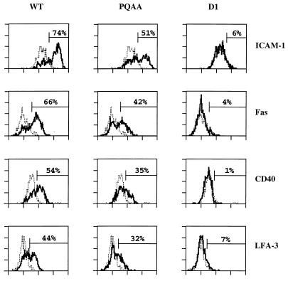 FIG. 6