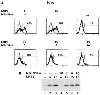 FIG. 7