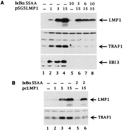 FIG. 8