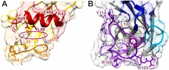 Fig. 7