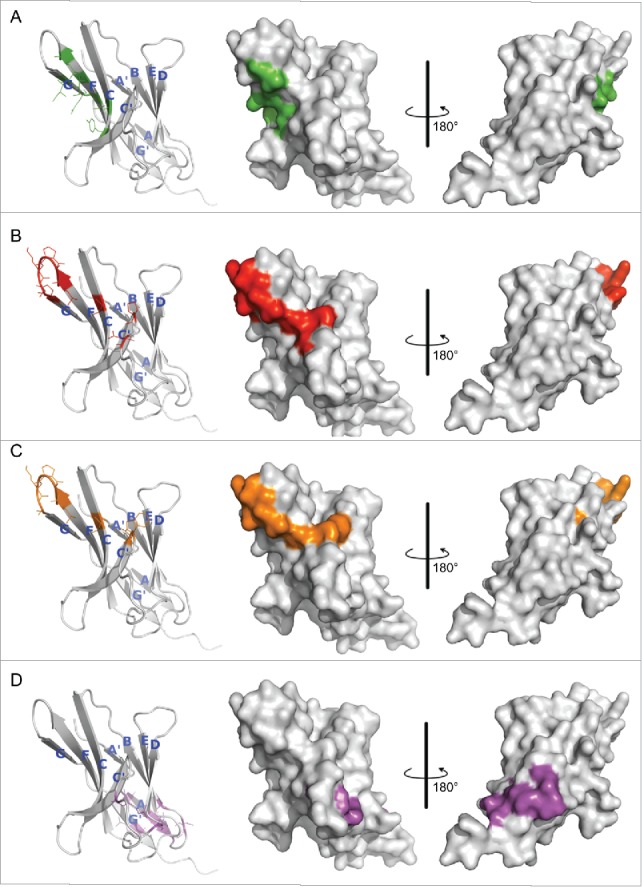 Figure 2.