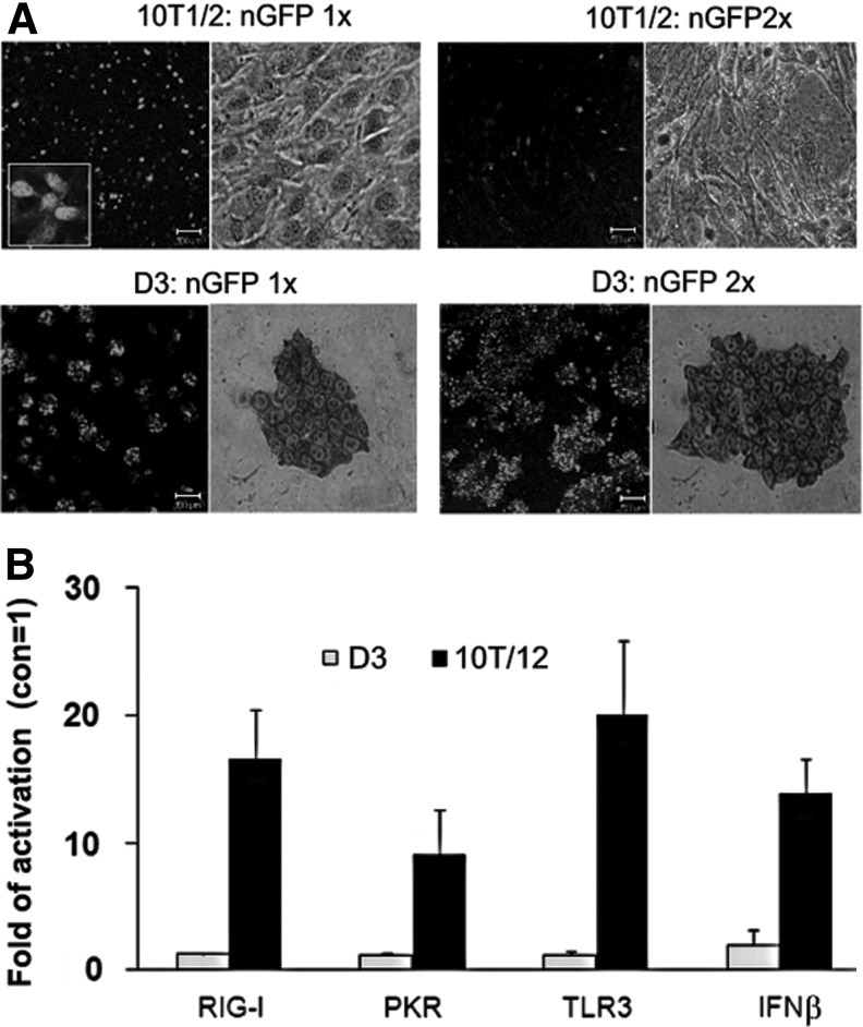 FIG. 7.