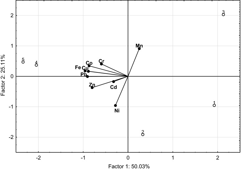 Fig. 5