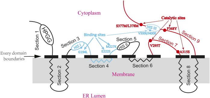 Fig. 2.