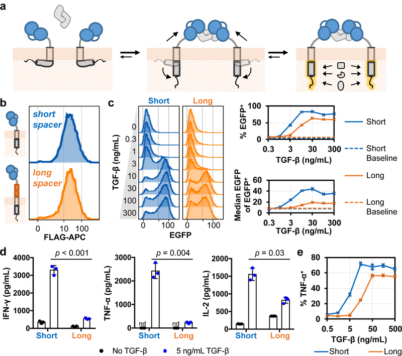 Figure 6: