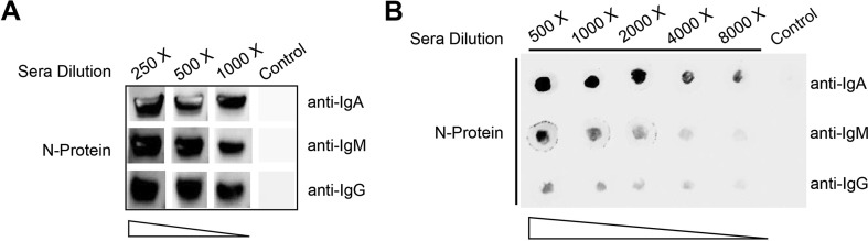 Fig. 4