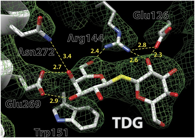 Fig. 4.