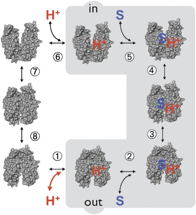 Fig. 8.