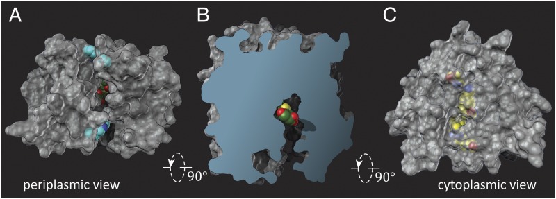 Fig. 3.