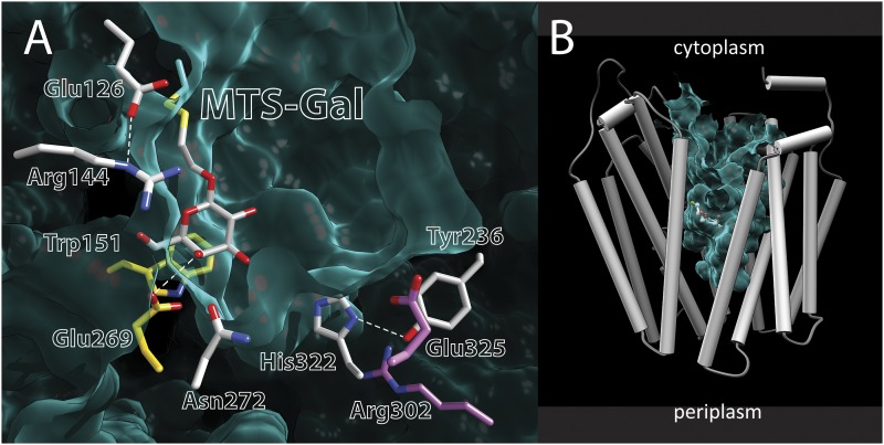 Fig. 6.