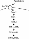 FIG. 8.