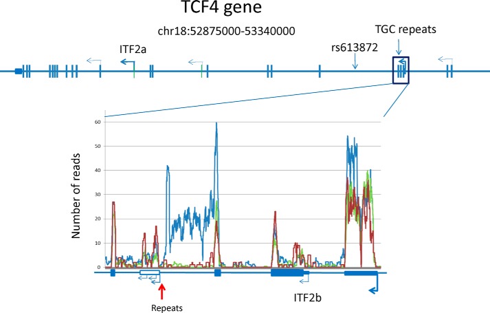 FIGURE 1.