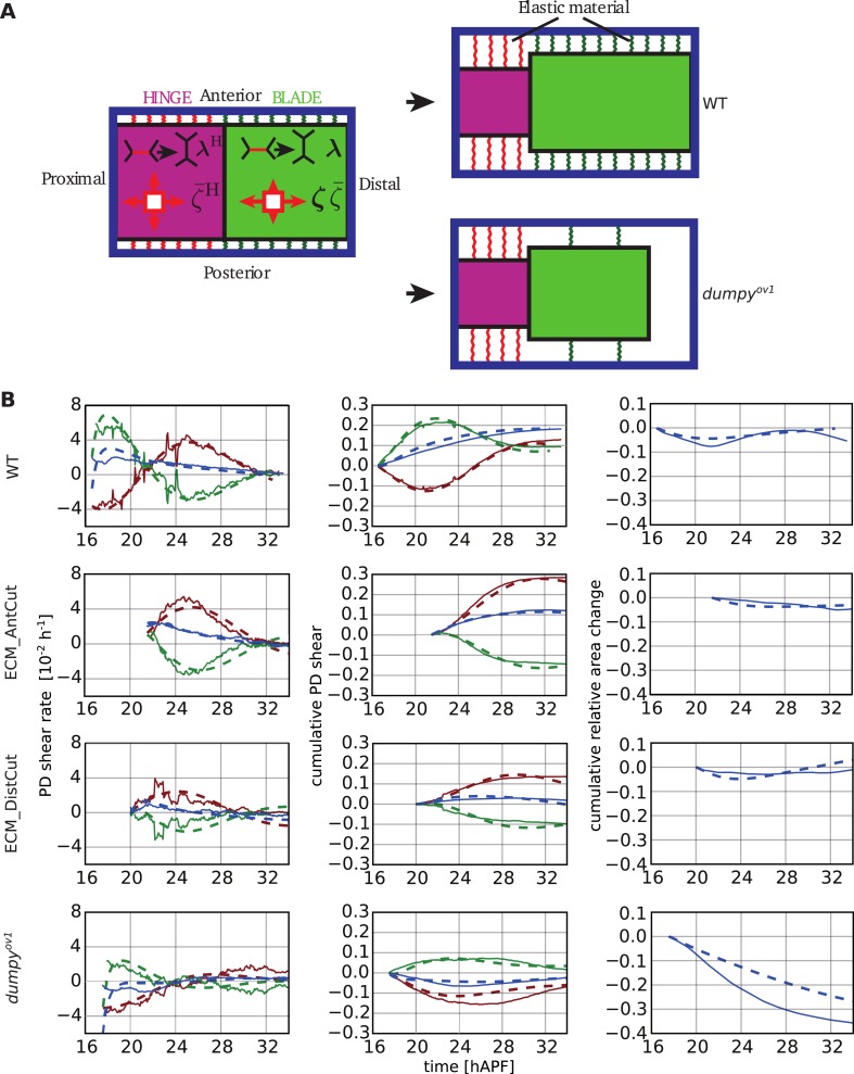 Figure 10.