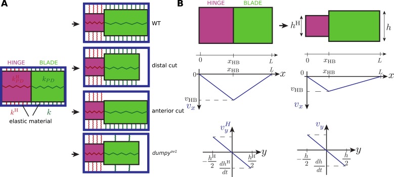 Figure 10—figure supplement 1.