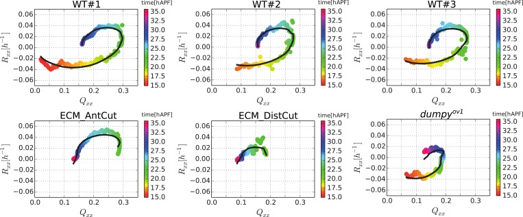 Figure 9—figure supplement 2.