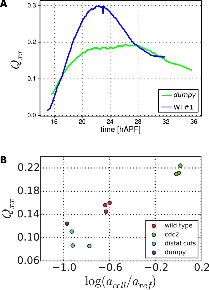 Figure 9—figure supplement 1.