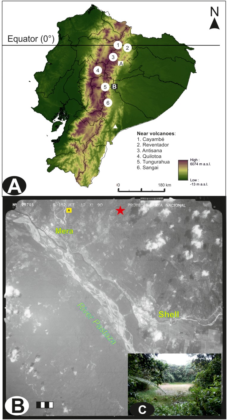 FIGURE 1