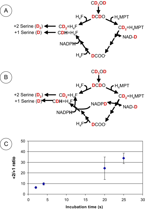 FIG. 2.