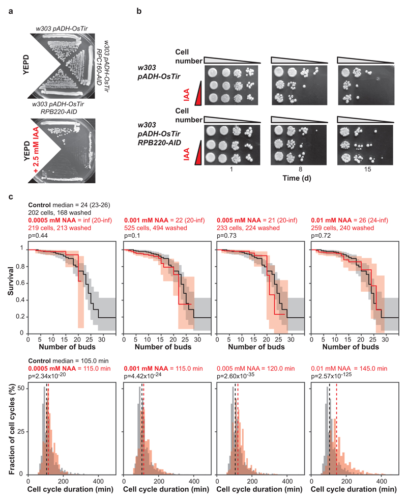 Extended Data Figure 1