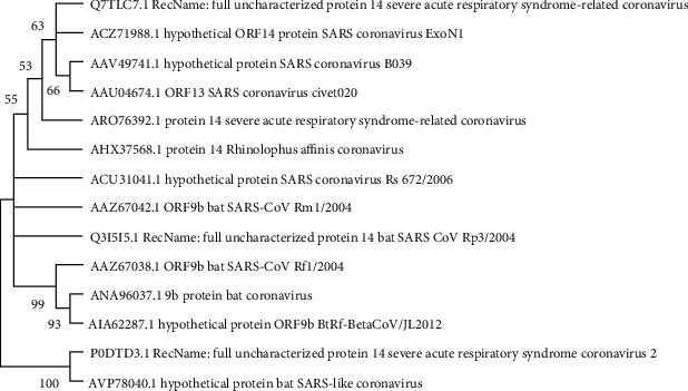 Figure 11