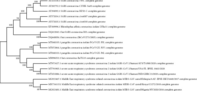 Figure 12