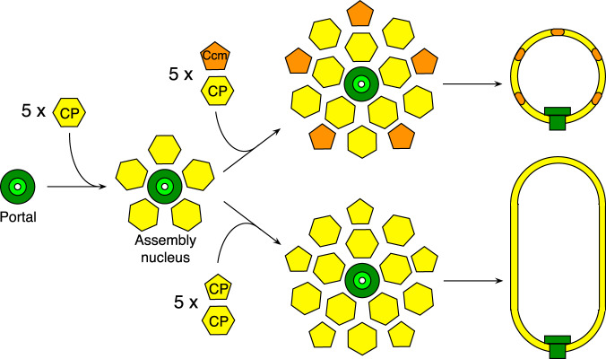 Fig. 8