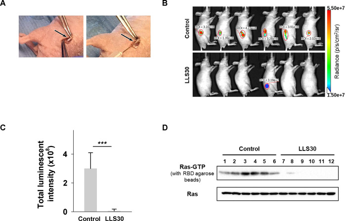 Fig 4.