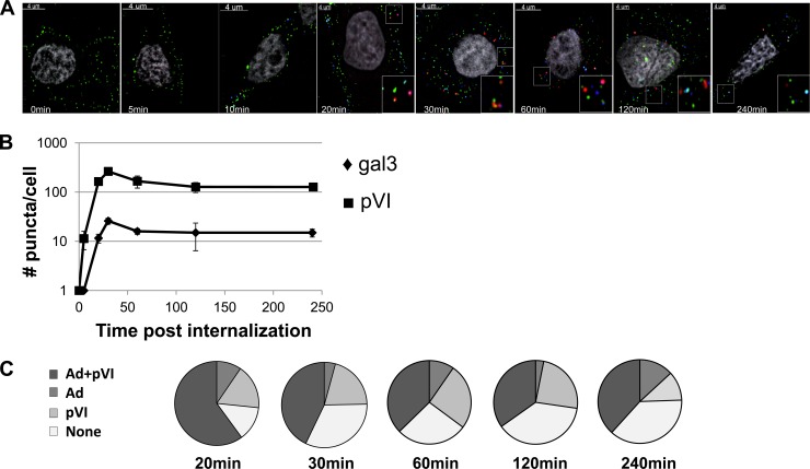 Fig 6