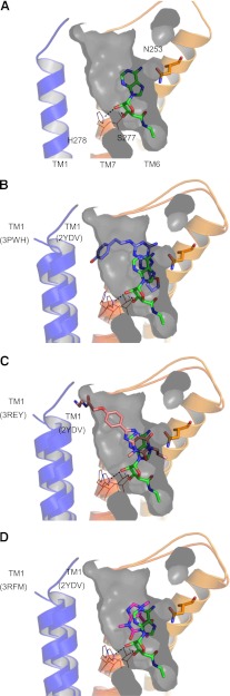 Fig. 5.