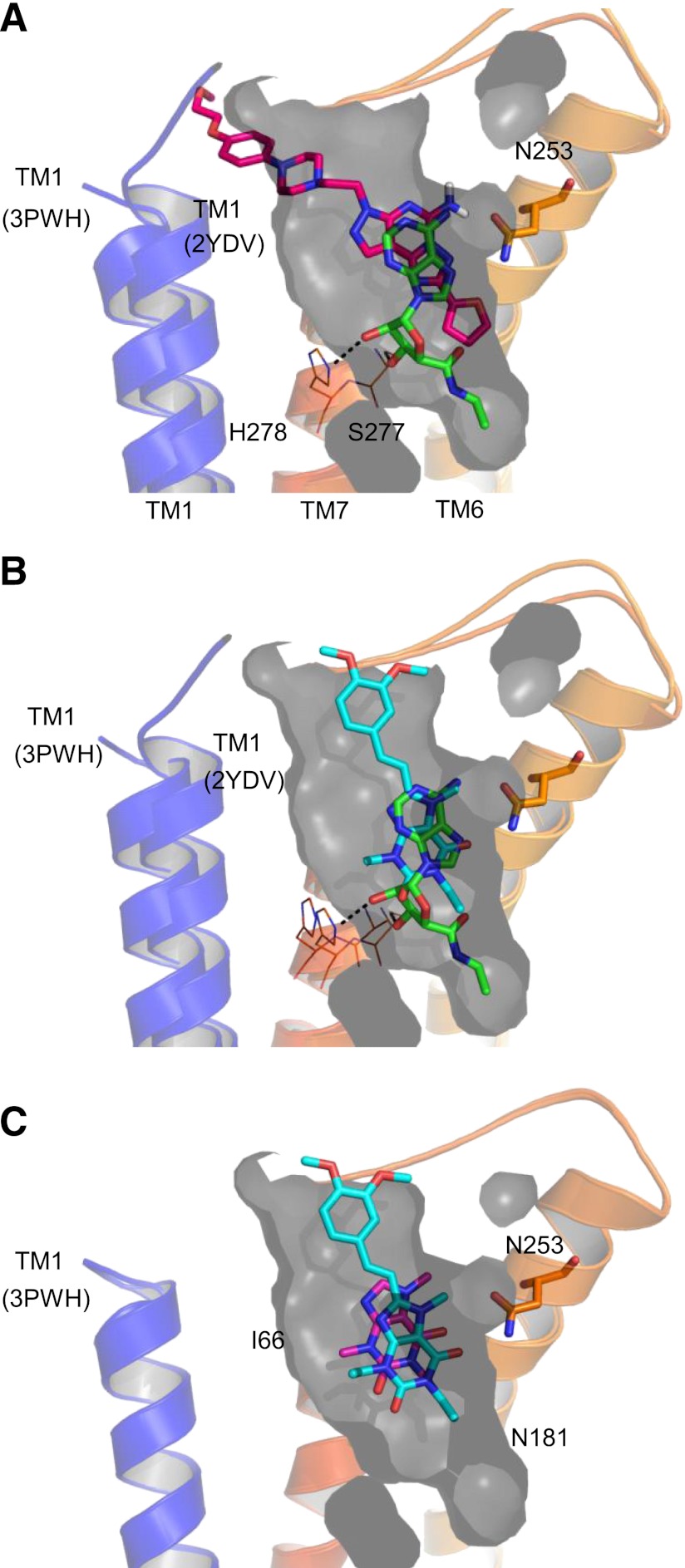 Fig. 6.