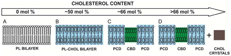 Fig.1