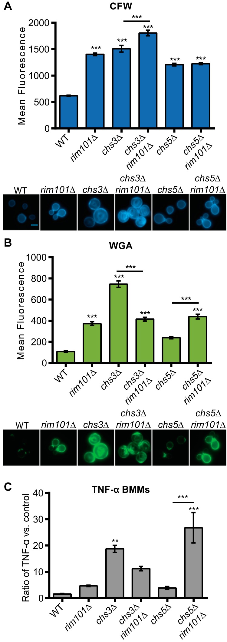 FIG 4 