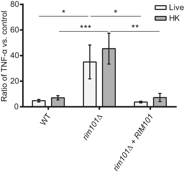 FIG 1 