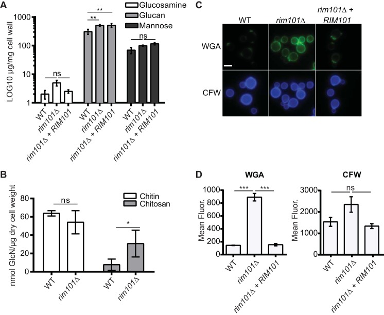 FIG 3 