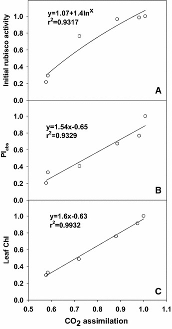 Fig. 8