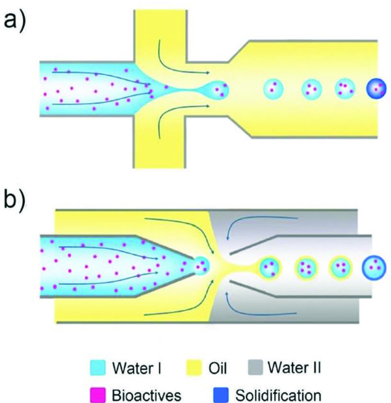 Fig. 10