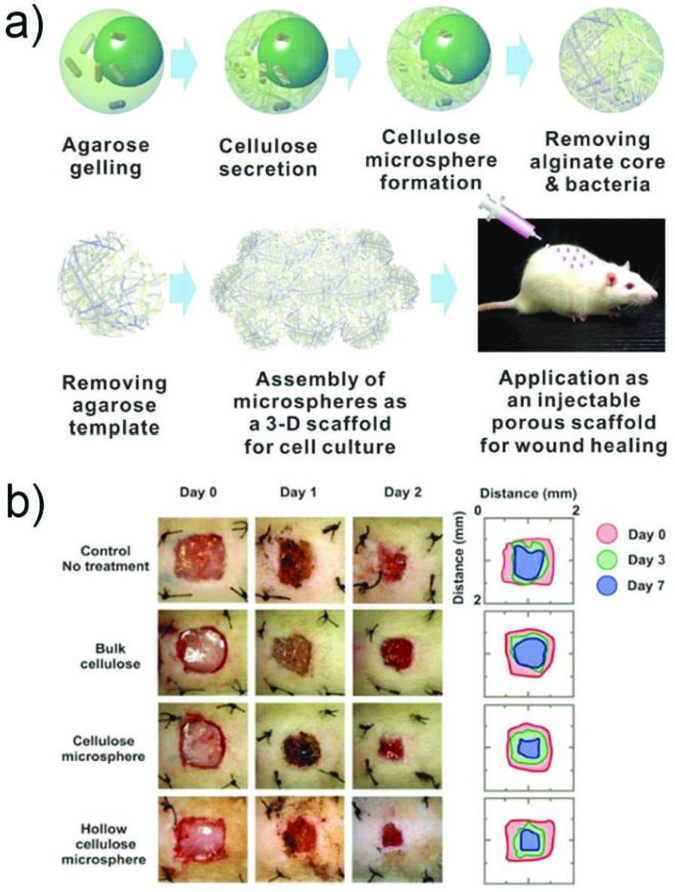 Fig. 20