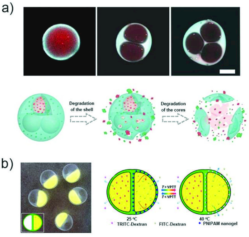 Fig. 12