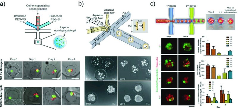 Fig. 18