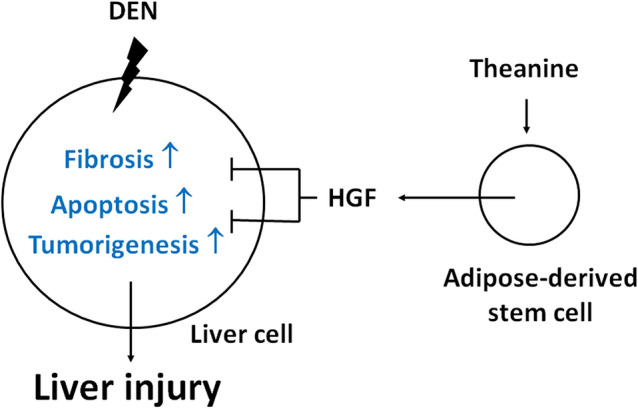 Fig. 11