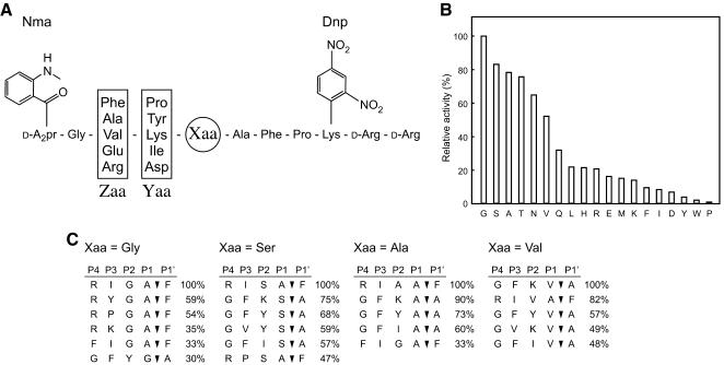 FIG. 6.