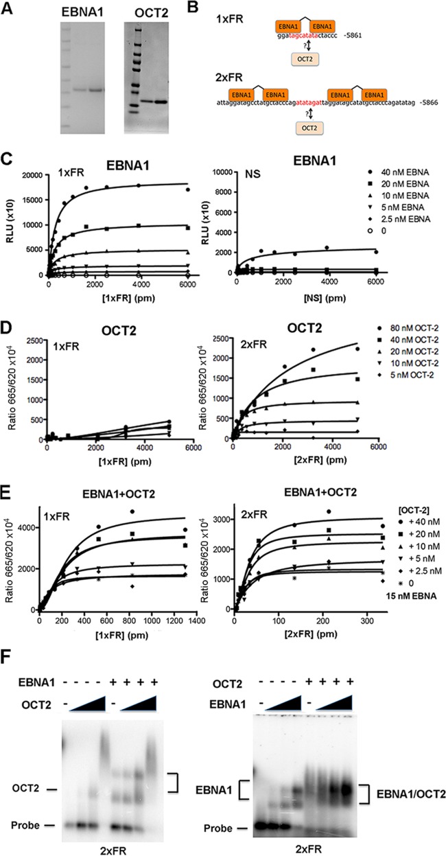 FIG 4